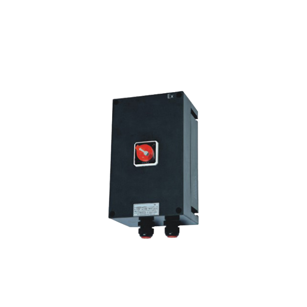 BDB8050防爆防腐电动机保护器（IIC、tD）